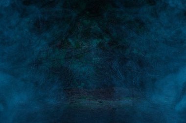 Mavi gizemli sis ve cadılar bayramı konseptiyle kaplı tüylü, genç çamlarla kaplı gece ormanı.