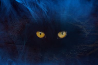 Bilinmeyen bir canavarın turuncu mistik gözleri cadılar bayramı ve mistik doğada parlıyor.