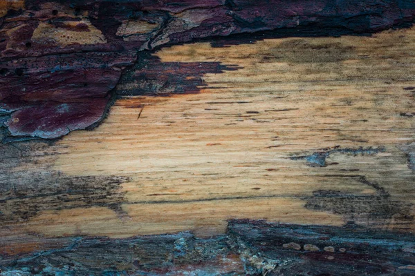 Textura Madeira Pinho Descascada Com Casca Escura Longo Das Bordas — Fotografia de Stock