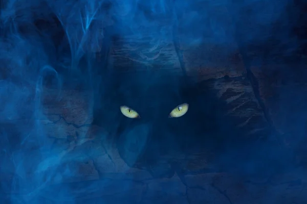 Ghostly Blue Mist Brilliant Yellow Eyes Wild Beast Mystical Nature — Stock Photo, Image