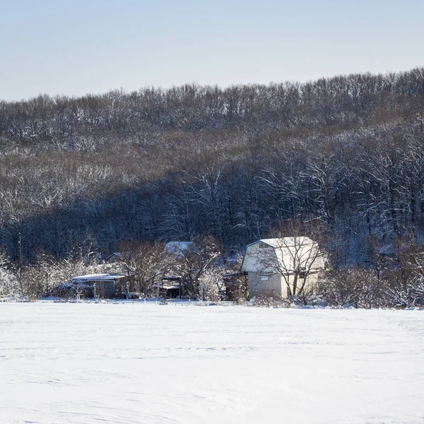 Beyaz Karla Kaplı Bir Kış Ormanının Eteklerindeki Köyde Bir — Stok fotoğraf