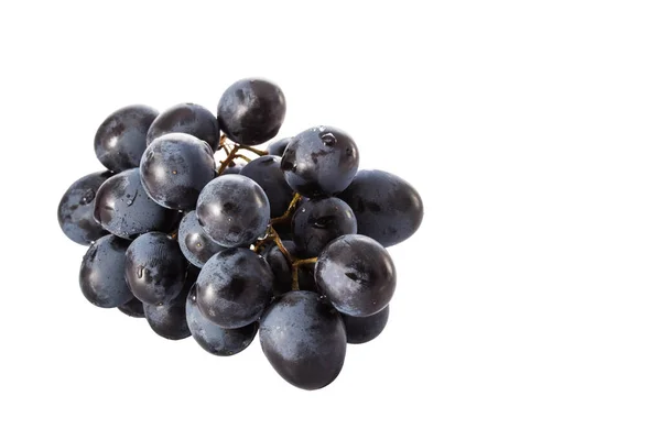 Beyaz Arka Planda Parlak Mavi Üzümler Tatlı Sağlıklı Yiyecekler — Stok fotoğraf