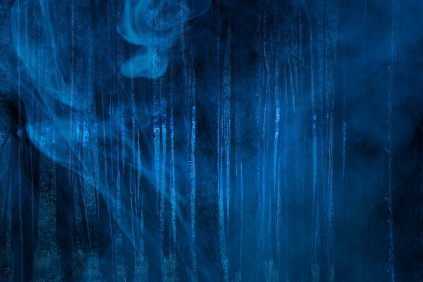 Tall and mysterious dark pines in the night forest covered with ghostly blue fog natural background for design concept wilderness