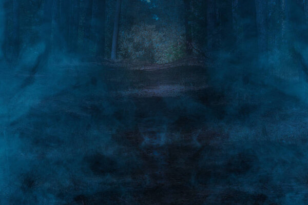 Mysterious blue mist in the night fores. Concept of wildlife and wilderness Scary and no one around