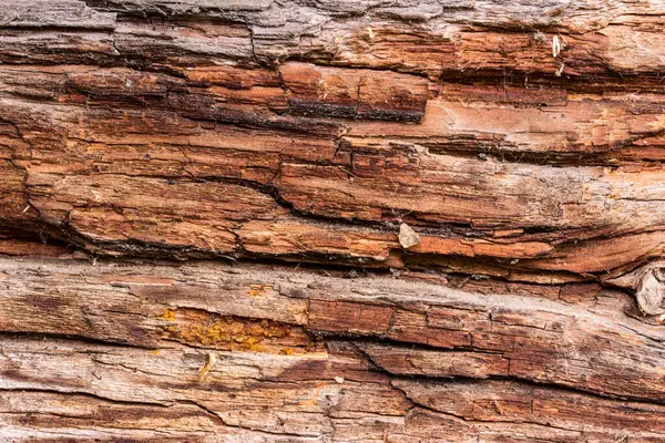 Textur Aus Altem Morschem Holz Mit Abgeplatzten Rissen Und Defekten — Stockfoto