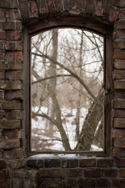 Fenêtre Vintage Avec Cadre Bois Sans Verre Derrière Lequel Voit — Photo