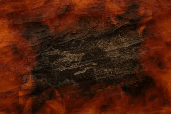 불타는 소나무 줄기의 자연적 패턴의 어두운 개념을 — 스톡 사진