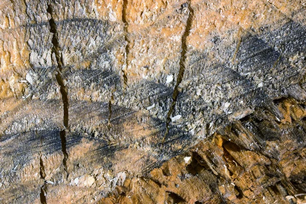 橙色黑色木制圆木屋纹理特写背景设计理念工业 — 图库照片