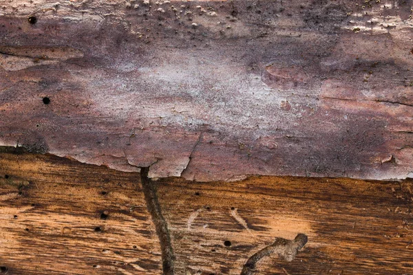 Vzrušující Lesní Textura Borovice Částečně Oloupanou Kůrou Zblízka Grunge Pozadí — Stock fotografie