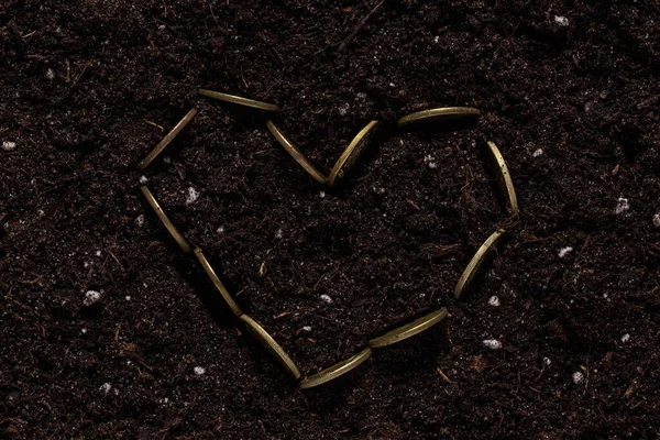 heart lined with golden coins in fertile universal soil close up concept of gardening and finance