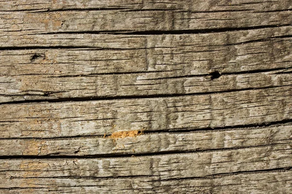 Texture Old Wood Cracks Scratches Background Design Concept Woodworking — Stock Photo, Image