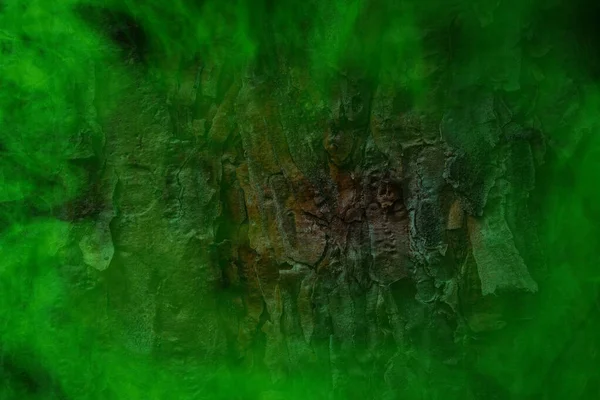 Baumstamm Textur Grünem Geisterhaften Nebel Hintergrund Für Design Konzept Von — Stockfoto