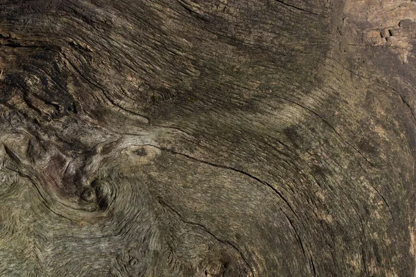 Güzel desenleri ve çatlakları olan gizemli ahşap bir doku. Tasarım için doğal arka plan. Çevre kavramı.