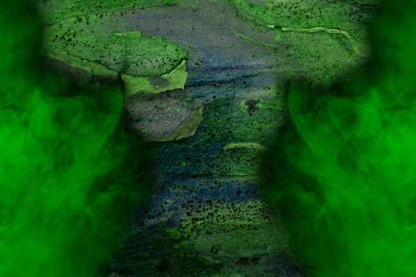 Der Grüne Baumstamm Ist Mit Mystischem Nebel Die Ränder Des — Stockfoto