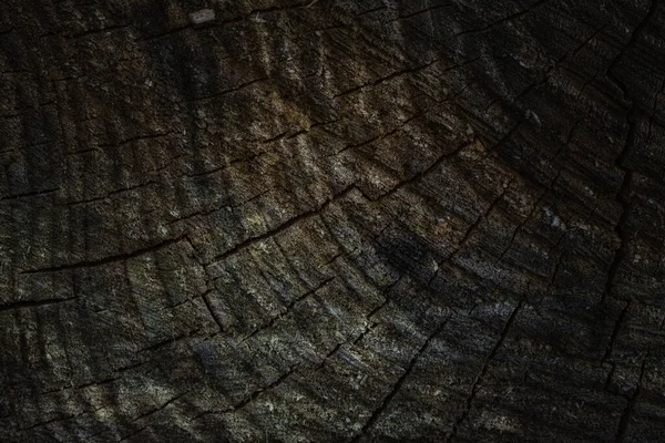 Koyu gri ahşap desenli gizemli kesik, çatlaklar yakın plan doğal tasarım için.