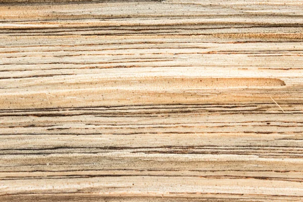 Güneş ışığıyla aydınlatılan parlak çam ağacının dokusu tasarım için endüstriyel arkaplanı kapatın