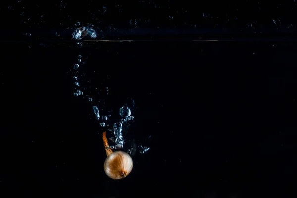 Pequeños Sumideros Cebolla Comestible Agua Sobre Concepto Comida Fondo Oscuro —  Fotos de Stock