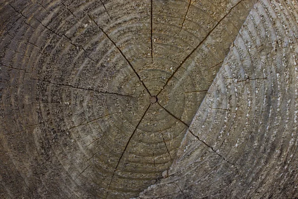 Taglio Legno Irregolare Primo Piano Concetto Texture Mozzafiato Della Natura — Foto Stock