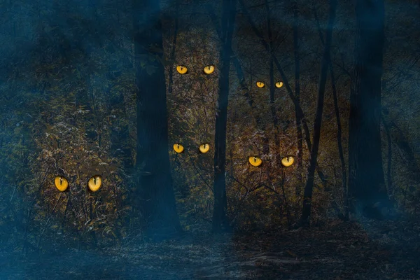 Portakal yaprakları ve vahşi ruhların ışıltılı gözleri ile gece ormanı vahşi yaşam ve cadılar bayramı konsepti