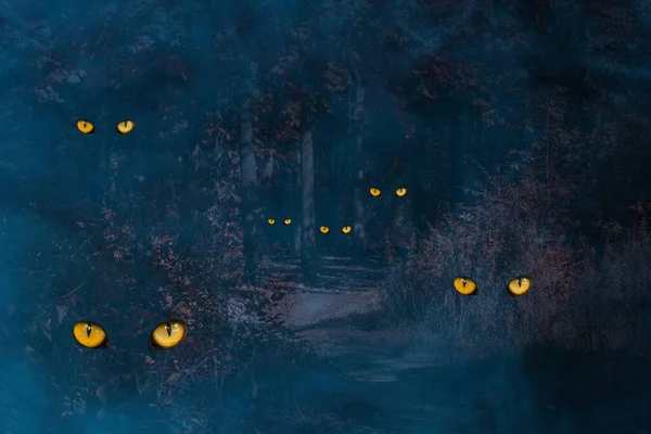 Gecenin sonbahar ormanı, parlak turuncu gözleri ile vahşi hayvanların gizemli izleri, mavi sis kavramı mistisizm ve cadılar bayramı etrafında.