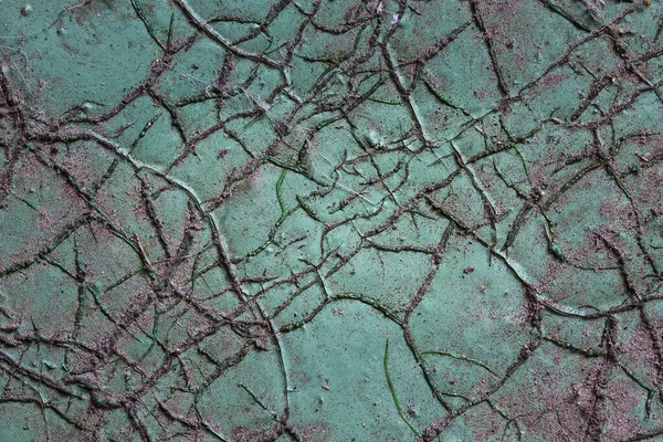 Mysterieuze Houten Textuur Bedekt Met Verf Spannende Scheuren Grunge Achtergrond — Stockfoto