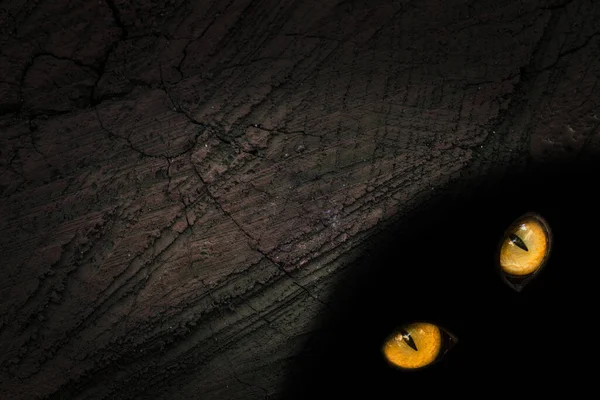 Ormanın ruhunun turuncu gözleri eski bir ağacın karanlık deliğinde parıldıyor. Vahşi yaşam kavramına yakın ve mistisizm dokusunda desenler var.