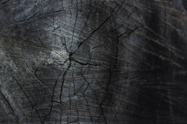 Bulanık kenarlı mistik ahşap kesim doğa konsepti için gizemli ve gri soyutlama