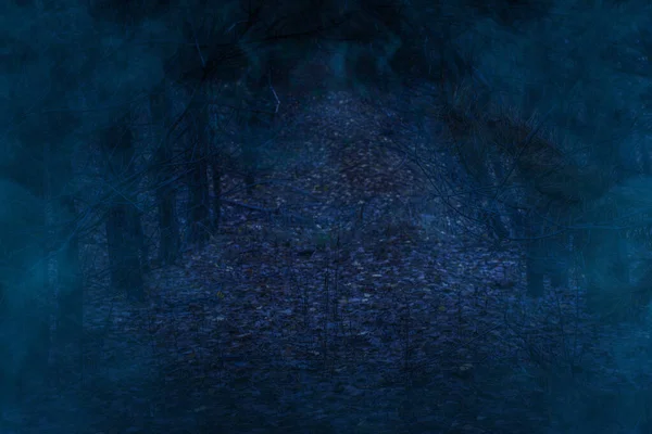 Ghostly Blue Mist Covered Night Forest Dark Abstraction Design Halloween — Stock Photo, Image