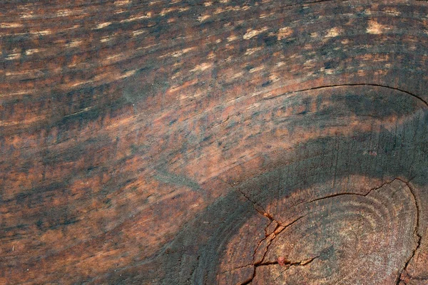 自然をデザインするための工業的な背景にある明るく素晴らしい木のテクスチャ — ストック写真