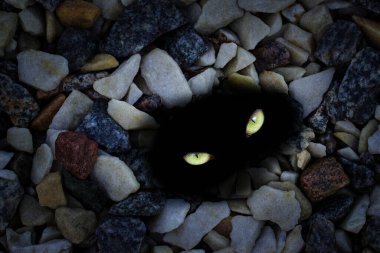 Sarı gizemli gözler taşların arasında parıldıyor mistisizm ve cadılar bayramı konsepti