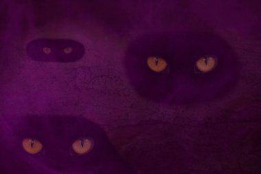 Bir ağacın karanlık deliklerinde saklanan vahşi hayvanların turuncu gözleri cadılar bayramı için mor bir duvar kağıdı saklıyordu.