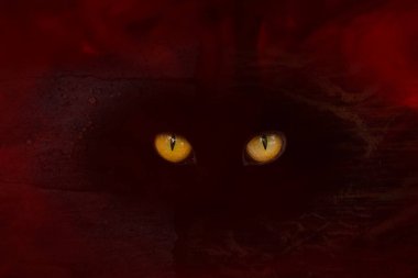 Vahşi yaşam ve cadılar bayramı kavramında bir orman iblisinin parlak turuncu gözleri.