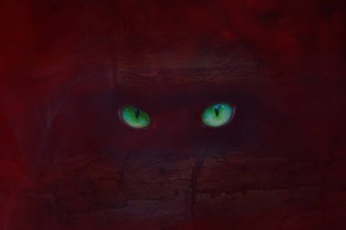 Orman iblisinin yeşil gözleri, ağaç gövdesinde, gizemli bir atmosferde parlıyor. Cadılar bayramı konsepti.