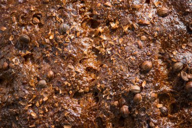 Ekmek kabuğunun iştah açıcı dokusu kişniş taneleriyle kaplıdır. Pişirme ve pişirme kavramı çok yakındır.