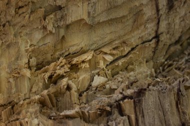 Sanayi ve ahşap işçiliği kavramının inşaatı için doğal malzemeler dilimlenir.