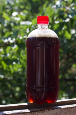 Bir litrelik plastik şişedeki siyah bira yeşil yaprakların bulanık arka planında bir pencerenin üzerinde duruyor.