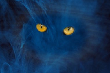 Puslu mavi hayalet turuncu parlak gözlü gizemli soyutlama