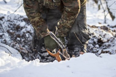 Arka planda kardan dışarı sarkan bir ağacın kökü soğuk mevsimde doğa aktivitelerinin kürek sapı konseptini tutuyor.