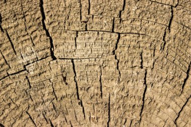 Koyu çatlaklar desenli ahşap yüzeyi ve ahşap işçiliği tasarım kavramı için kaba bir yüzey arkaplanı.