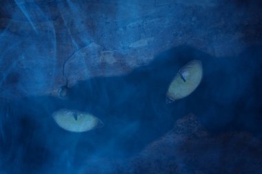 Bir ağaç gövdesindeki gizemli bir canavarın gözleri mavi gece sisi ile kaplı cadılar bayramı için duvar kağıdı.