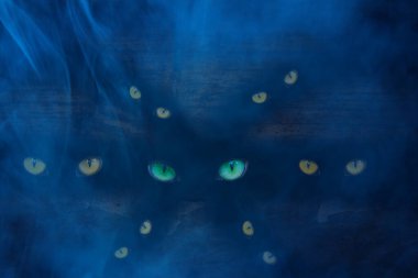 # Vahşi hayvanların renkli parlak gözleri... #... cadılar bayramı ve mistisizm ile kaplanmış... #... bir çam ağacının karanlık çatalında parıldıyor.