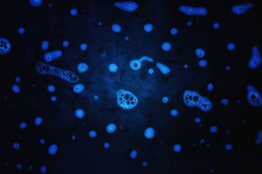 Koyu mavi arka planda bir deterjan damlasının gizemli soyutlanması ev kimyasalları konsepti