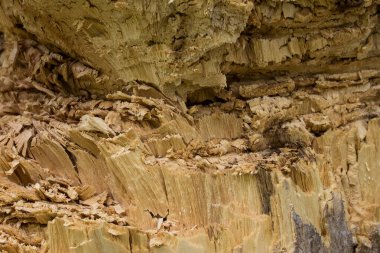 Ağaç gövdesinde ağaç kabuğu olmadan doğal malzeme inşaat konsepti ve ahşap işçiliği için