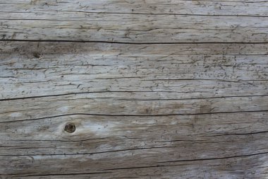 Kabuksuz ahşap çatlakların pürüzsüz gri ahşap dokusu ve doğa ve yapı malzemeleri tasarım konsepti için güneş ışığı arka planı değil.