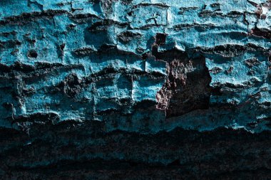 Ağaç kabuğunun yakın görüntüsü  