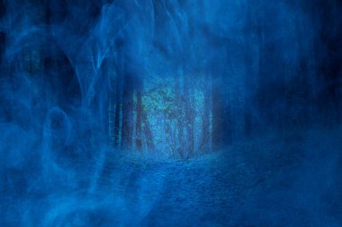 İzler, gizemli bir gece ormanının vahşi doğasına doğru yükseliyor. Mavi, kalın bir sis tabakasıyla kaplı. Doğa ve Cadılar Bayramı kavramı.