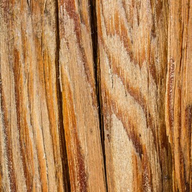 Çevre ve ahşap işçiliği kavramına sahip parlak çam ağacı dokusu