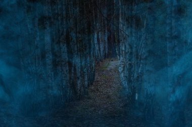 Akşam huş ağacı, doğa ve mistisizm kavramının kenarlarındaki mistik sisle kaplıdır.