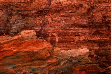 Kısmen soyulmuş kabuğu ve çatlağı olan parlak fantastik çam dokusu tasarım için doğal grunge arkaplanı