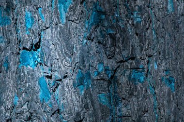 Karanlık bir ağaç gövdesinin mistik dokusu mavi desenli tasarım için olağanüstü doğal arka plan